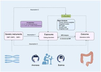 Anorexia and bulimia in relation to ulcerative colitis: a Mendelian randomization study
